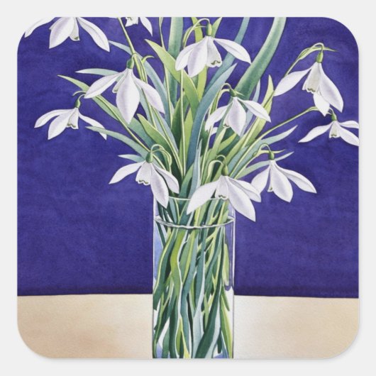 Snowdrops スクエアシール (正面)