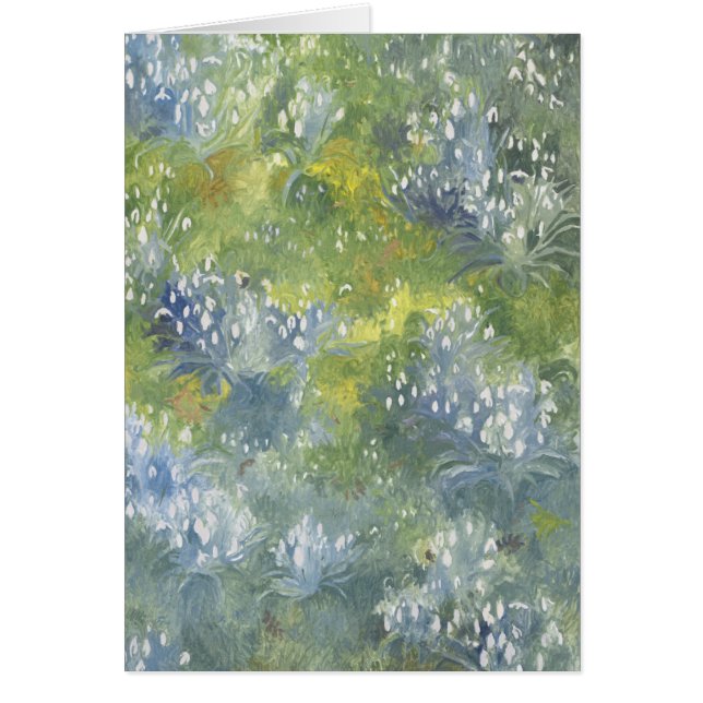 Snowdrops 2014年 (正面)