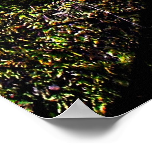 Snowdrops by River Hafren Print ポスター (角)