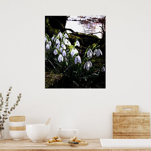 Snowdrops by River Hafren Print ポスター (キッチン)