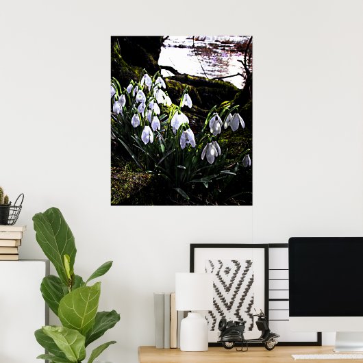 Snowdrops by River Hafren Print ポスター (ホームオフィス)