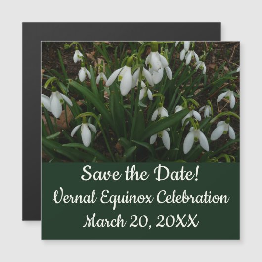 Snowdrops I (Galanthus)白い春の花 (正面/裏面)