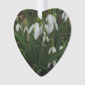 Snowdrops I (Galanthus)白い春の花 オーナメント (正面)