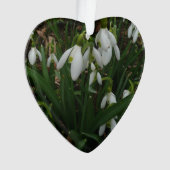 Snowdrops I (Galanthus)白い春の花 オーナメント (正面)