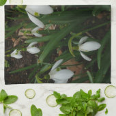 Snowdrops I (Galanthus)白い春の花 キッチンタオル (折り畳み)