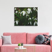 Snowdrops I (Galanthus)白い春の花 キャンバスプリント (インサイチュ (リビング))