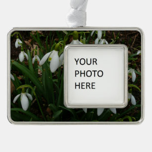Snowdrops I (Galanthus)白い春の花 シルバープレートフレームオーナメント