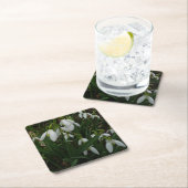 Snowdrops I (Galanthus)白い春の花 スクエアペーパーコースター (インサイチュ)