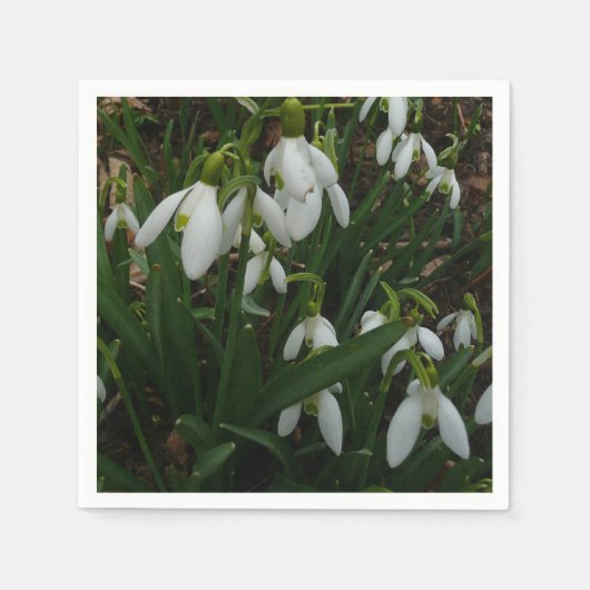 Snowdrops I (Galanthus)白い春の花 スタンダードカクテルナプキン (正面)