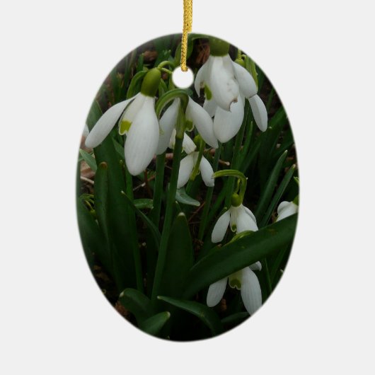 Snowdrops I (Galanthus)白い春の花 セラミックオーナメント (正面)
