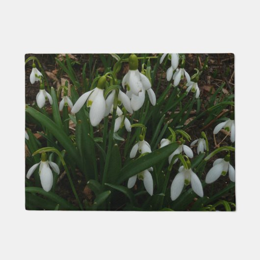 Snowdrops I (Galanthus)白い春の花 ドアマット (正面)