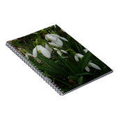 Snowdrops I (Galanthus)白い春の花 ノートブック (右側)