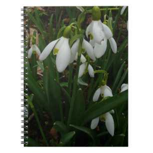Snowdrops I (Galanthus)白い春の花 ノートブック