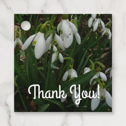 Snowdrops I (Galanthus)白い春の花 フェイバータグ (正面)