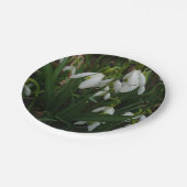Snowdrops I (Galanthus)白い春の花 ペーパープレート (アングル)