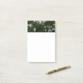 Snowdrops I (Galanthus)白い春の花 ポストイット (デスク上)