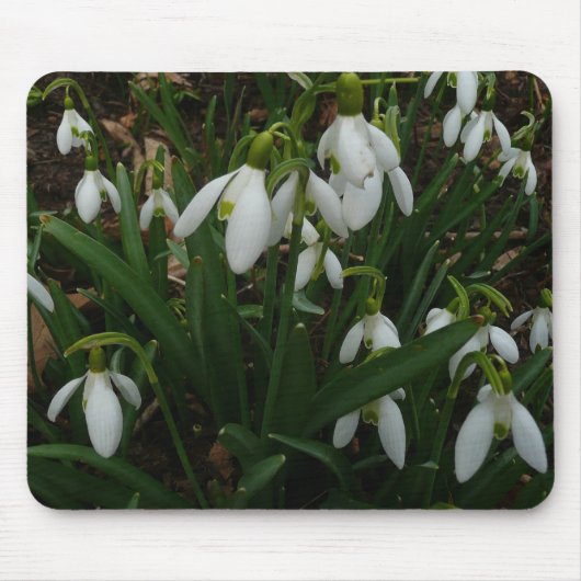 Snowdrops I (Galanthus)白い春の花 マウスパッド (正面)