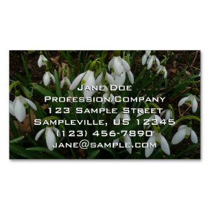 Snowdrops I (Galanthus)白い春の花 マグネット名刺