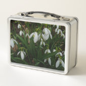 Snowdrops I (Galanthus)白い春の花 メタルランチボックス (裏面)
