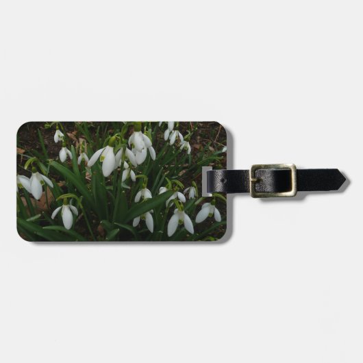 Snowdrops I (Galanthus)白い春の花 ラゲッジタグ (正面横)
