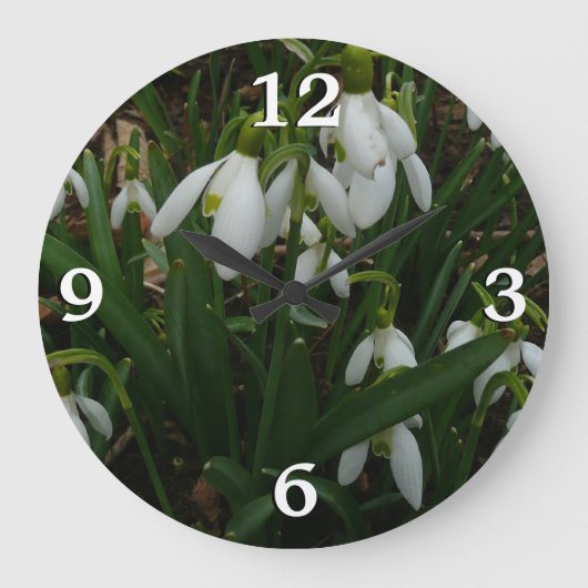 Snowdrops I (Galanthus)白い春の花 ラージ壁時計 (正面)