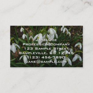 Snowdrops I (Galanthus)白い春の花 名刺