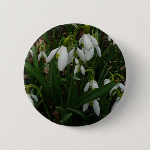 Snowdrops I (Galanthus)白い春の花 缶バッジ