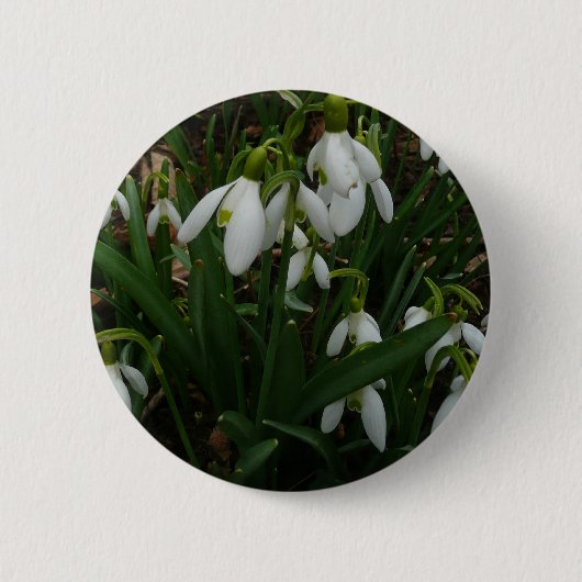 Snowdrops I (Galanthus)白い春の花 缶バッジ (正面)