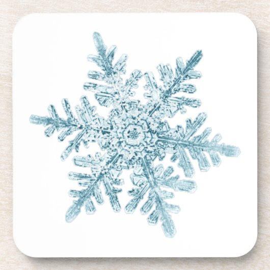 Snowflake Coasters コースター (正面)