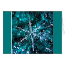 Snowflake Macro Photo独自の文字カードを追加