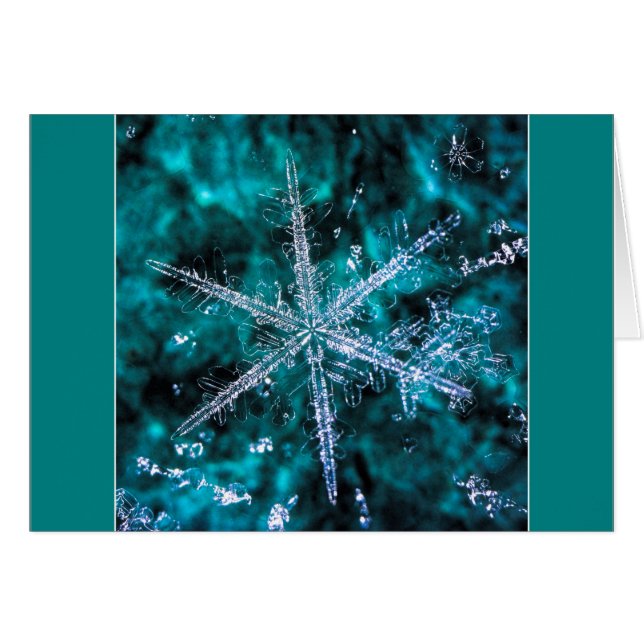 Snowflake Macro Photo独自の文字カードを追加 (正面横)