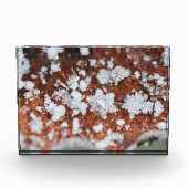 Snowflakes  フォトブロック (正面)