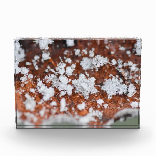 Snowflakes  フォトブロック (正面)