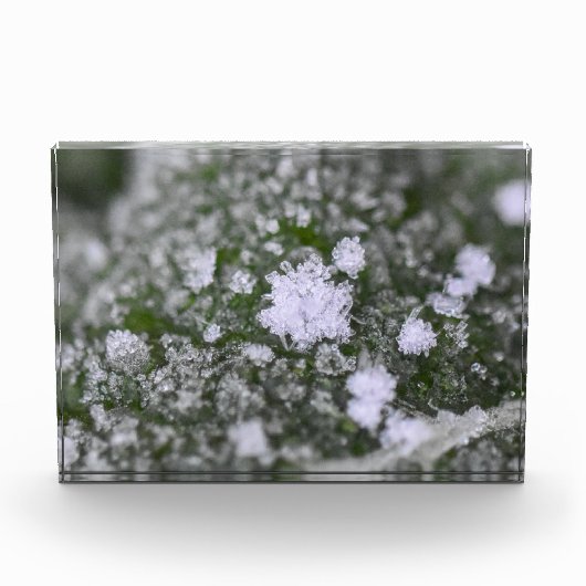 Snowflakes  フォトブロック (正面)