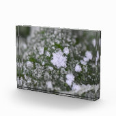 Snowflakes  フォトブロック (右)