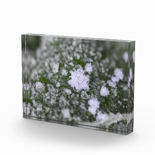 Snowflakes  フォトブロック (右)