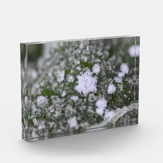 Snowflakes  フォトブロック (左)
