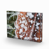 Snowflakes  フォトブロック (右)