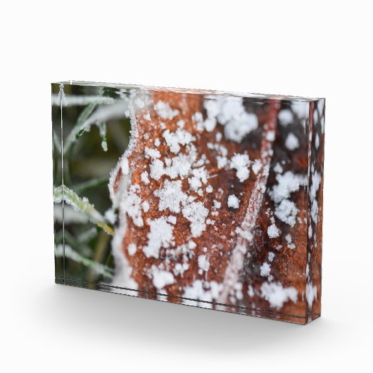 Snowflakes  フォトブロック (右)