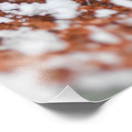 Snowflakes  フォトプリント            (角)