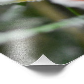 Snowflakes  フォトプリント            (角)