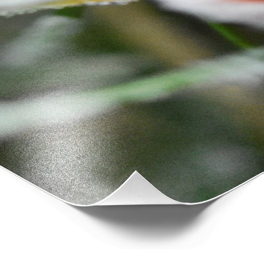 Snowflakes  フォトプリント            (角)