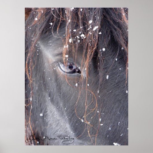 Snowflakes on Fell Pony ポスター (正面)