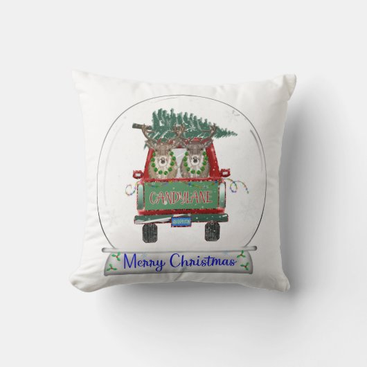 snowglobe クッション (正面)