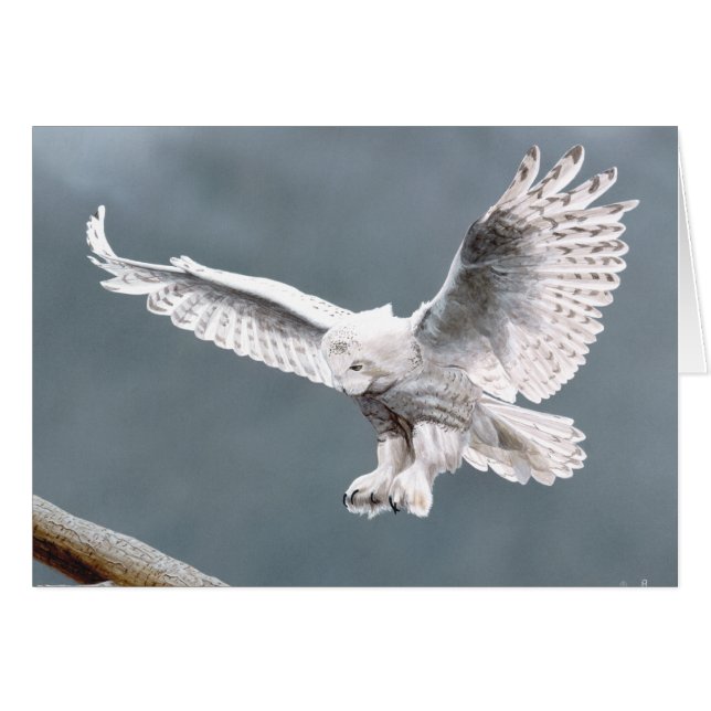 Snowings (正面横)