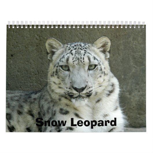 SnowLeopardM002のユキヒョウ カレンダー (カバー)