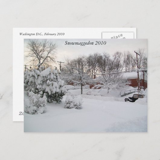 Snowmaggedon 2010年 ポストカード (正面/裏面)