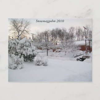 Snowmaggedon 2010年 ポストカード