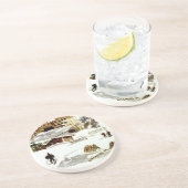 Snowmassコロラド州のコースター コースター (側面)