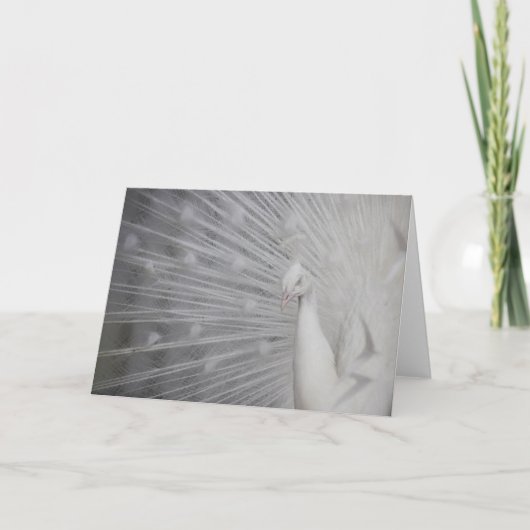 SnowPeacock サンキューカード (正面)